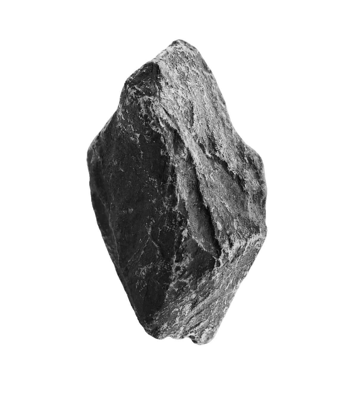 石材樣本 STONE_023